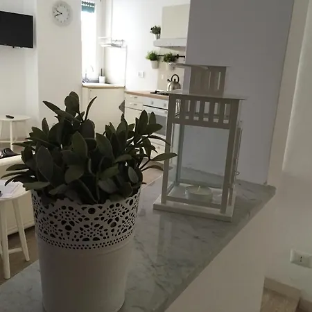 Casa Sveja